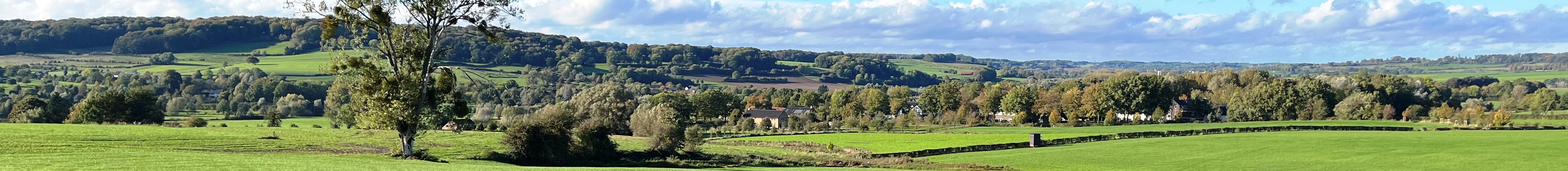 Ginsterberg vakantiewoningen